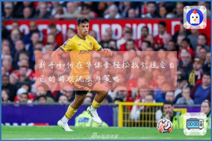 新手如何在华体会轻松找到适合自己的游戏玩法与策略