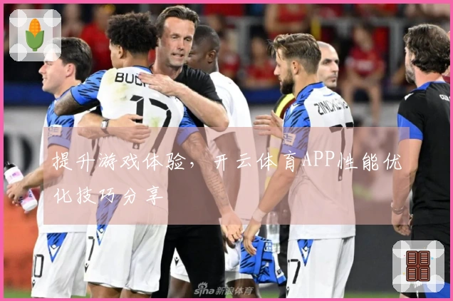 提升游戏体验，开云体育APP性能优化技巧分享