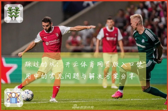 踩过的坑：开云体育网页版入口使用中的常见问题与解决方案分享