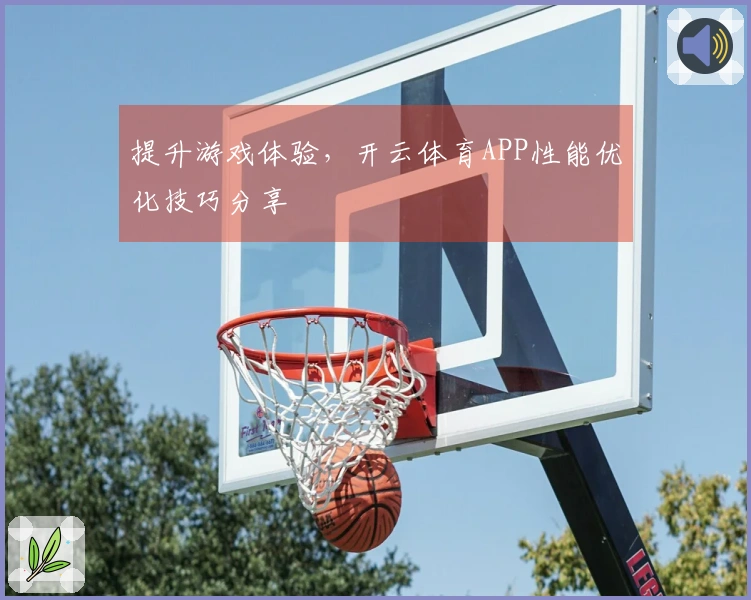 提升游戏体验，开云体育APP性能优化技巧分享